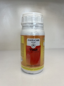 آوانت(ایندوکاسکارب)