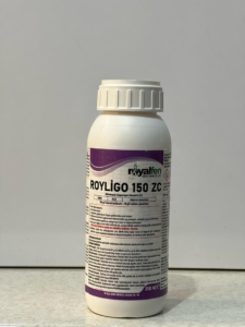 Royligo(رویلیقو)